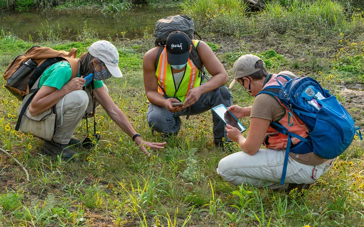 WMSWCD-staff-and-partner-intern_plant-monitoring-by-Pat-Welle