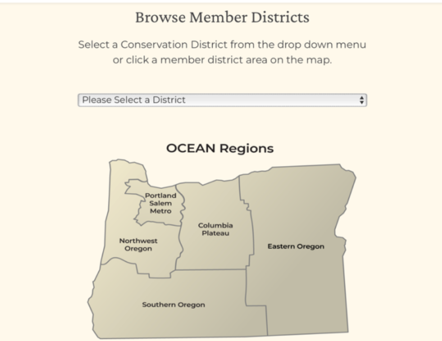 OCEAN District Directory